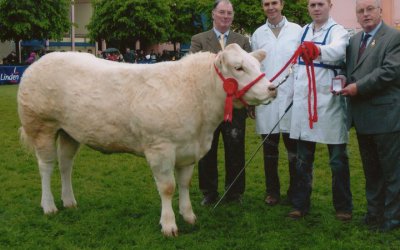 Balmoral Show Commercial Champion